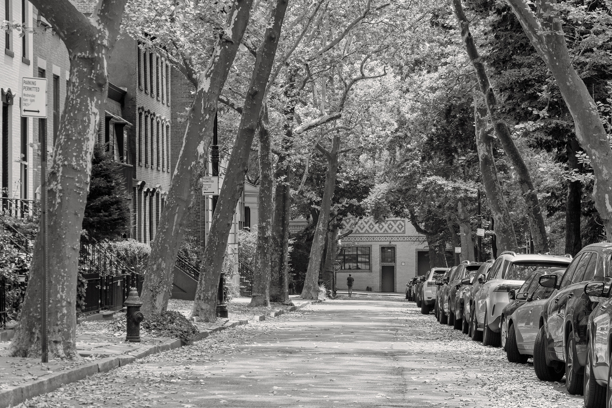 Christoph Radke, New York City, Brooklyn Heights, 2022